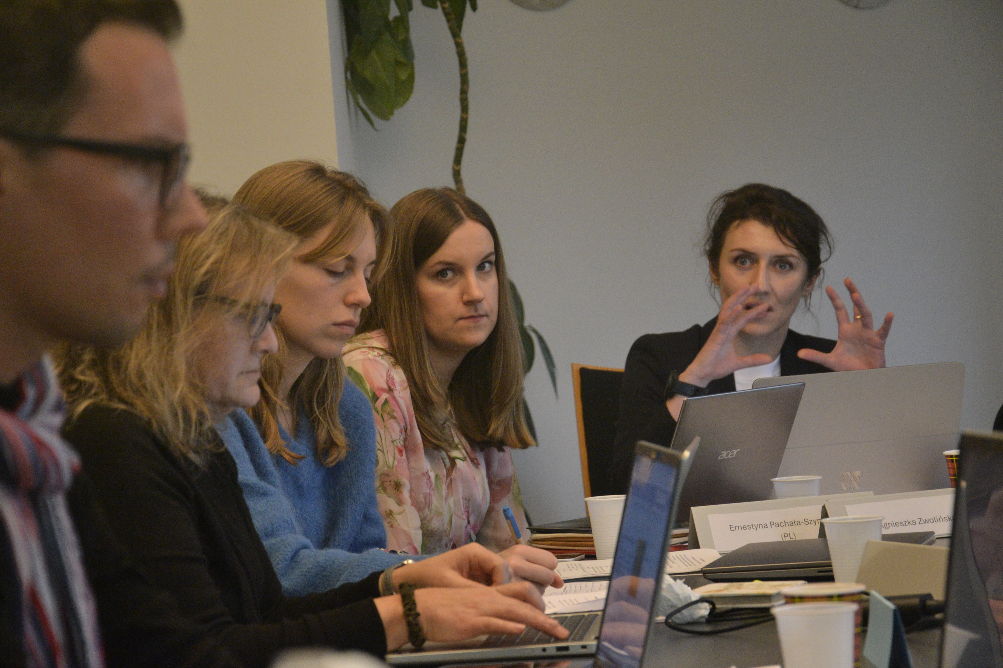 International expert workshop – November 2025